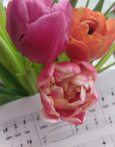 Tulpen und Ausschnitte aus Noten